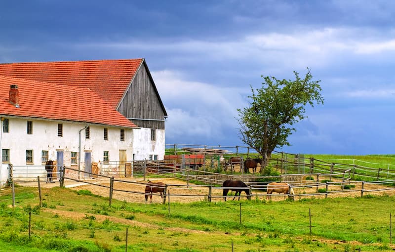 Ein altes Gehöft – kann man diesen Bauernhof sanieren?