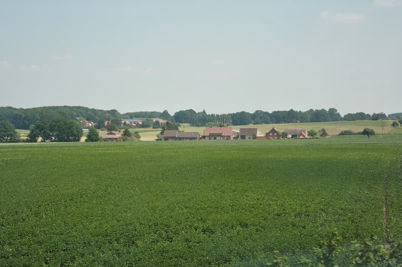 Ein leeres Feld, lässt sich hier ein Grundstück finden?