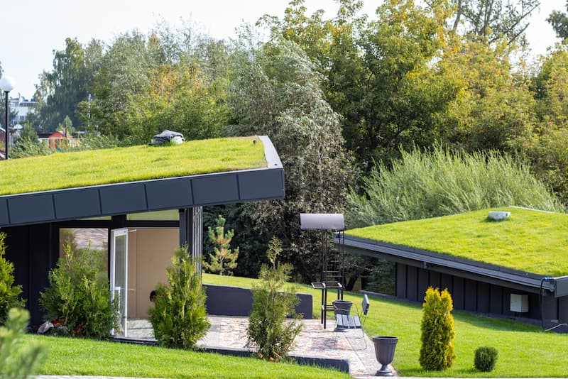 Ein Haus in grüner Umgebung, was ist grüne Architektur?